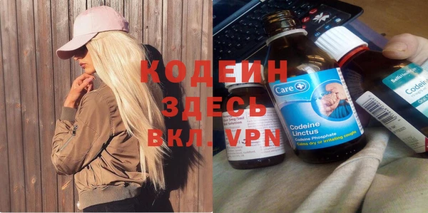 крисы Богородицк