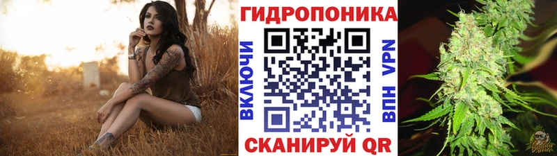 Бошки марихуана ГИДРОПОН Волжский
